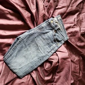 7 For All Mankind Gwenevere Skinnies